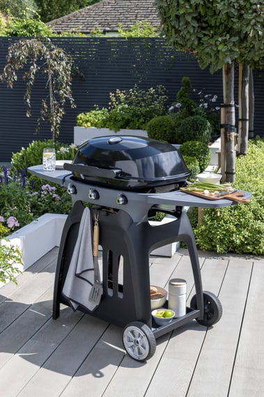 Norfolk Grills N Grill Barbecue