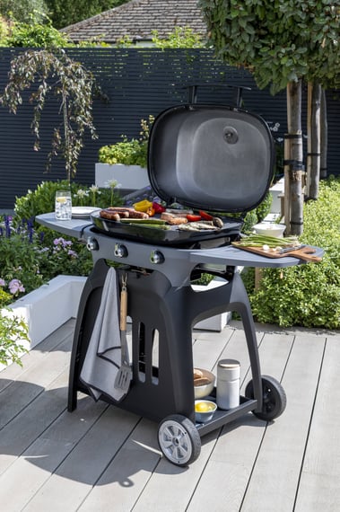 Norfolk Grills N Grill Gas BBQ