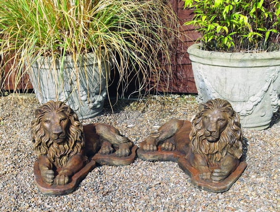 Chatsworth Lions in Umber