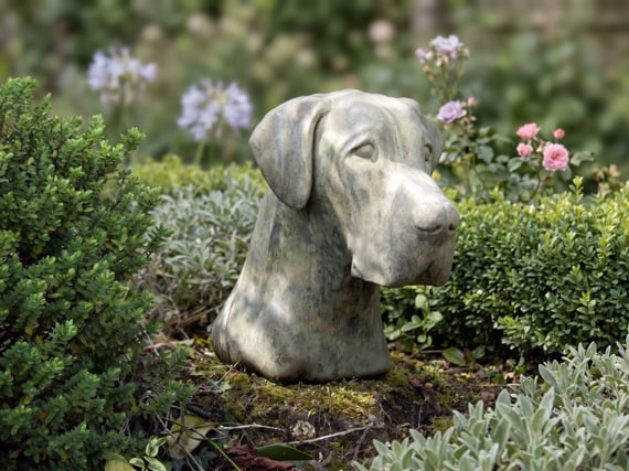 Great Dane Stone Head