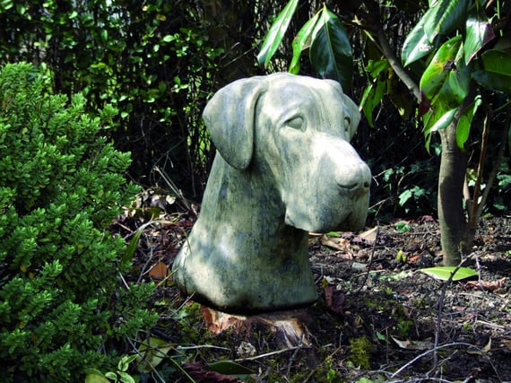 Great Dane Stone Head original product photo