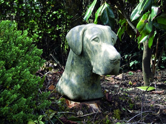 Great Dane Stone Head in cast stone