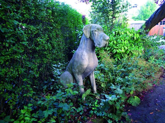 Male Great Dane Statue