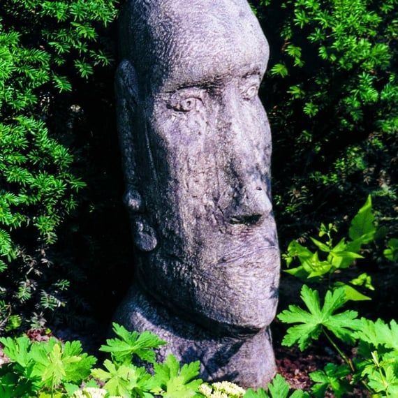 Easter Island Head Statue in garden setting with lush green foliage