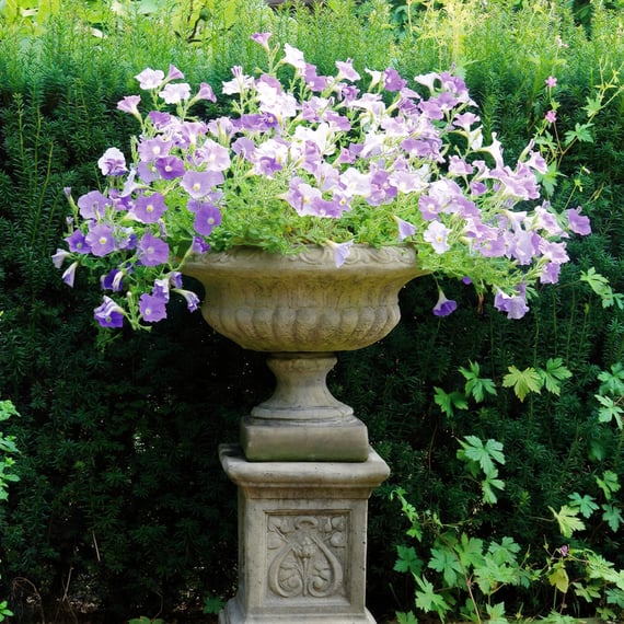 Emblem Stone Garden Pedestal in Aged Cotswold Finish with Decorative Motif