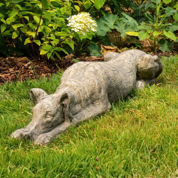 Resting Whippet Garden Statue