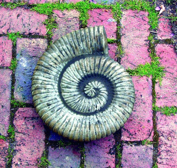 Large Stone Ammonite Garden Statue original product photo