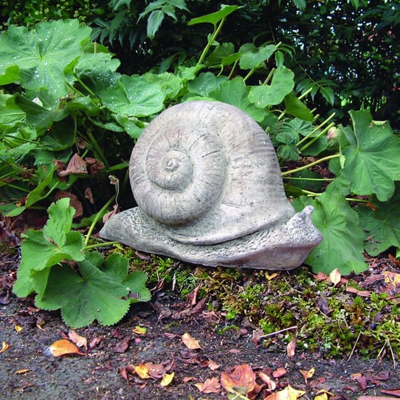 Snail Stone Garden Statue in Garden Border