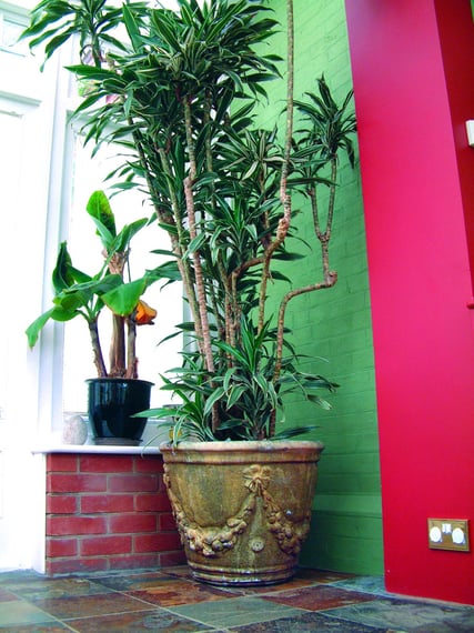 Large Swaggered Stone Garden Vase in cast stone