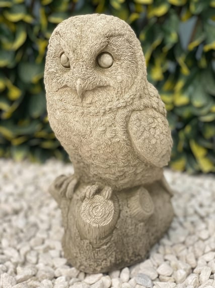 Barn Owl Garden Ornament in Stone - Close Up Detail