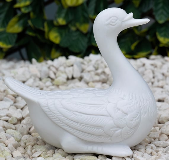Duck Garden Ornament Set in White