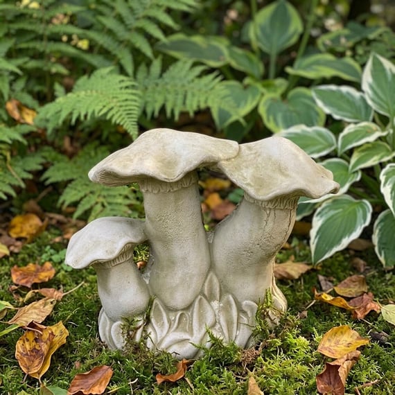 Small Mushroom Family Garden Ornament in Stone