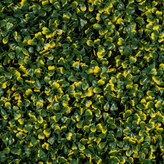 1x1m Artificial Living Wall Boxwood