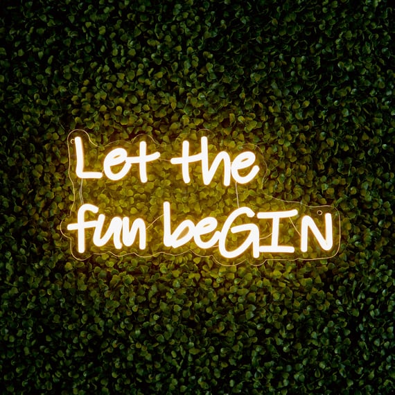 38cm LED Low Voltage Neon Wall Sign - Let the fun beGIN