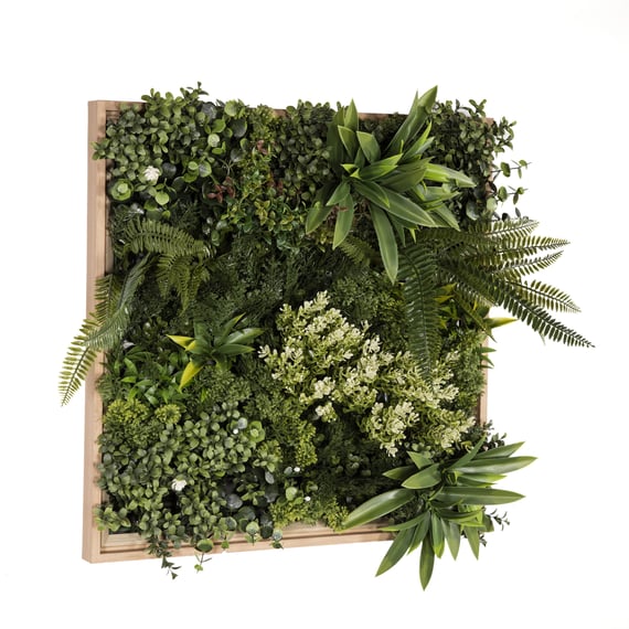 50x50cm Artificial Living Wall Art in Frame Jade Envy