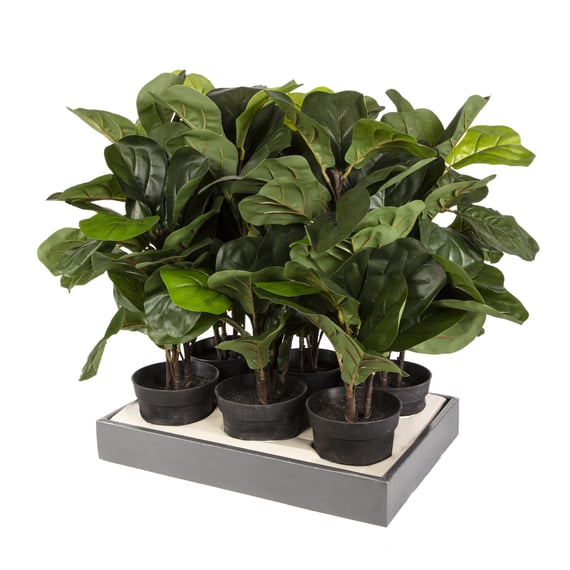 56cm Artificial Potted Ficus Lyrata