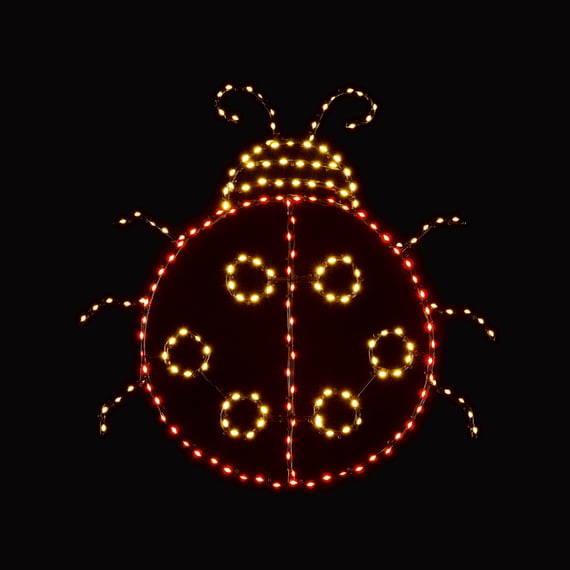 61cm 195 LED Low Voltage Lit Ladybird Motif