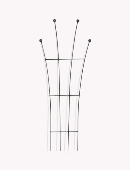 Barrington Fan Trellis Raw Metal Climbing Roses Garden