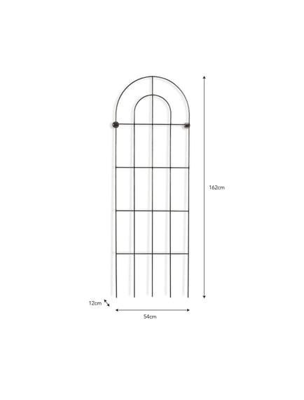 Barrington Wall Trellis Large Raw Metal Rustic Garden
