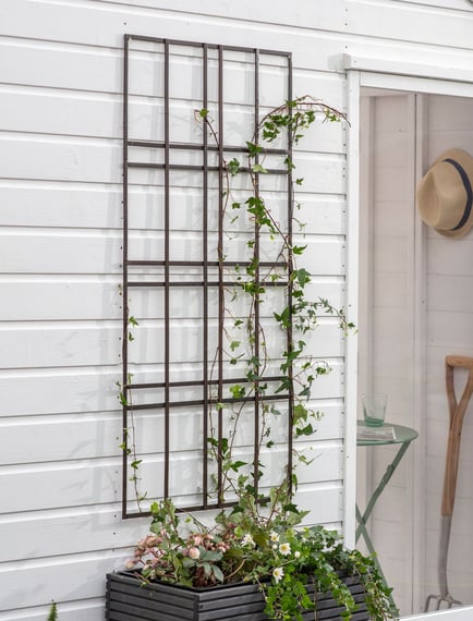 Charlbury Wall Trellis 60cm
