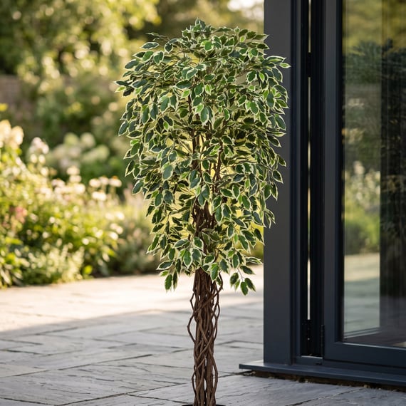 Artificial Ficus Liana Variegated 150cm Fire Retardant