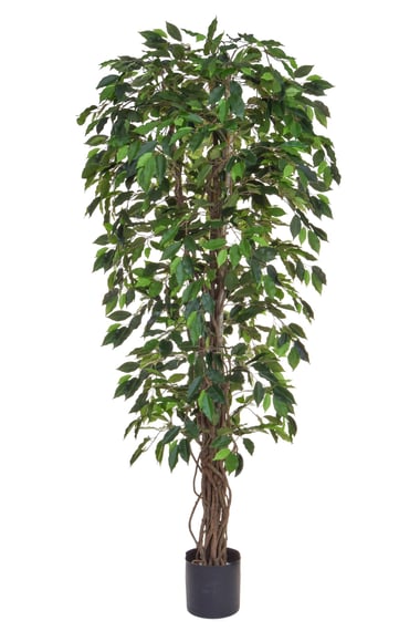 Artificial Ficus Liana Green 180cm Fire Retardant
