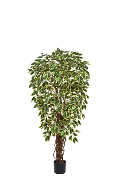 Artificial Ficus Liana Variegated 120cm Fire Retardant