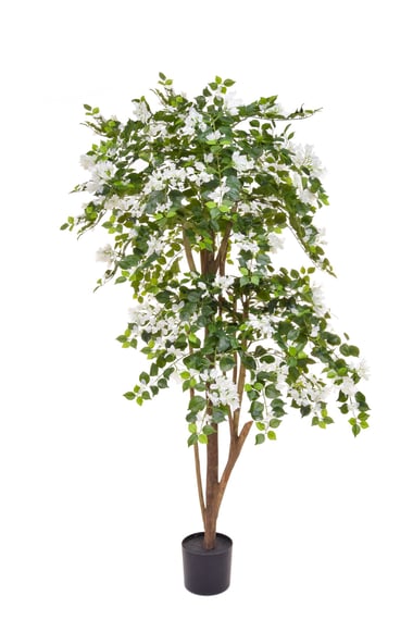 Artificial Flowering Bougainvillea White 180cm