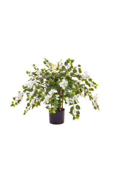 Artificial Flowering Bougainvillea White 90cm