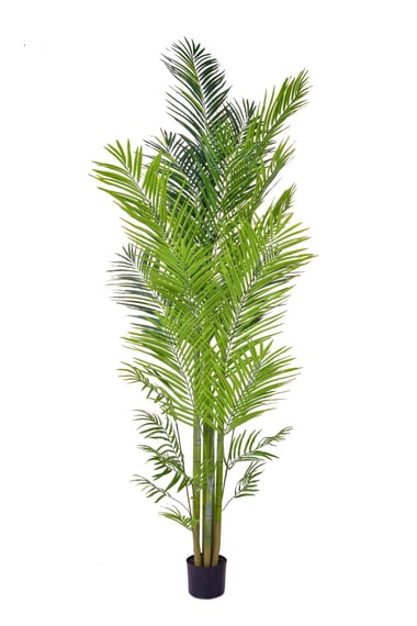 Artificial Palm Areca 240cm Fire Retardant