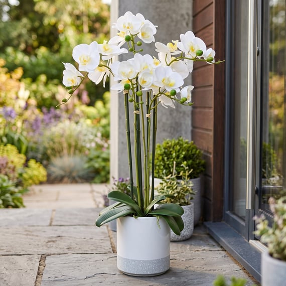 Artificial Phalaenopsis Real Touch Pot 70cm