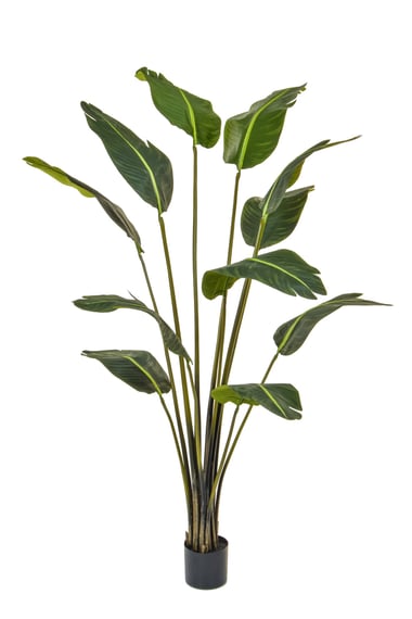 Artificial Bird Of Paradise 180cm Fire Retardant