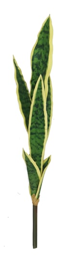 Artificial Sanservera Single Stem 87.5cm