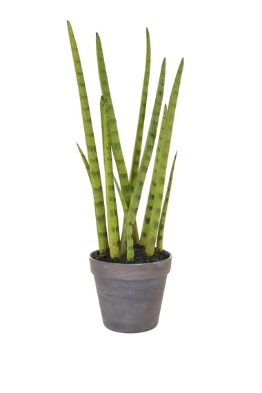 Artificial Sansevieria with Brown Pot 42.5cm