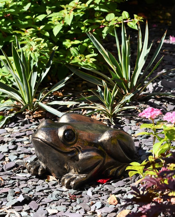 Sitting Toad Metal Garden Ornament