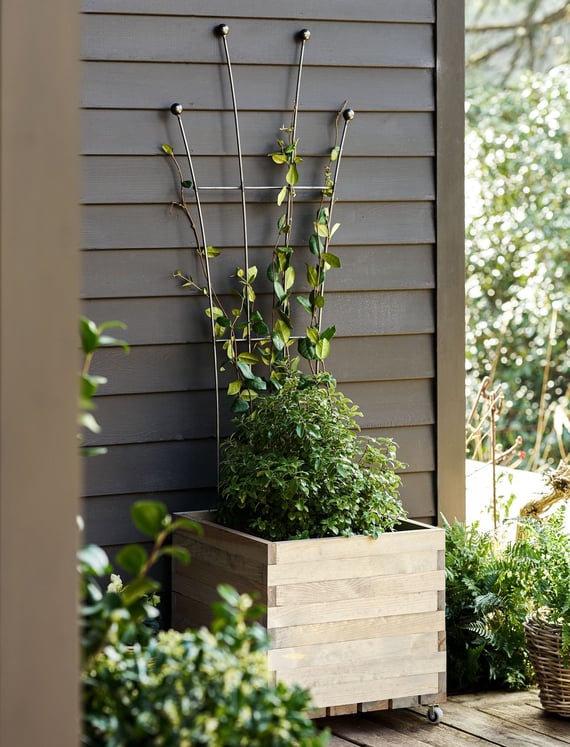 Barrington Fan Trellis Raw Metal