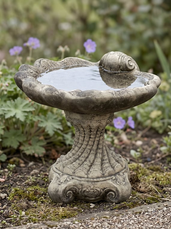 Shell Stone Birdbath