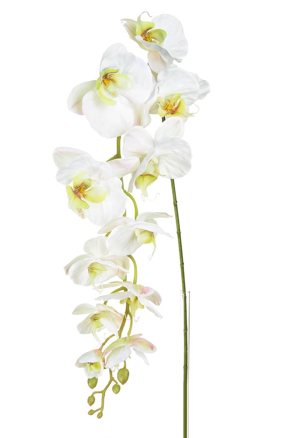 Artificial Orchid Phalaenopsis Large White Pink 130cm