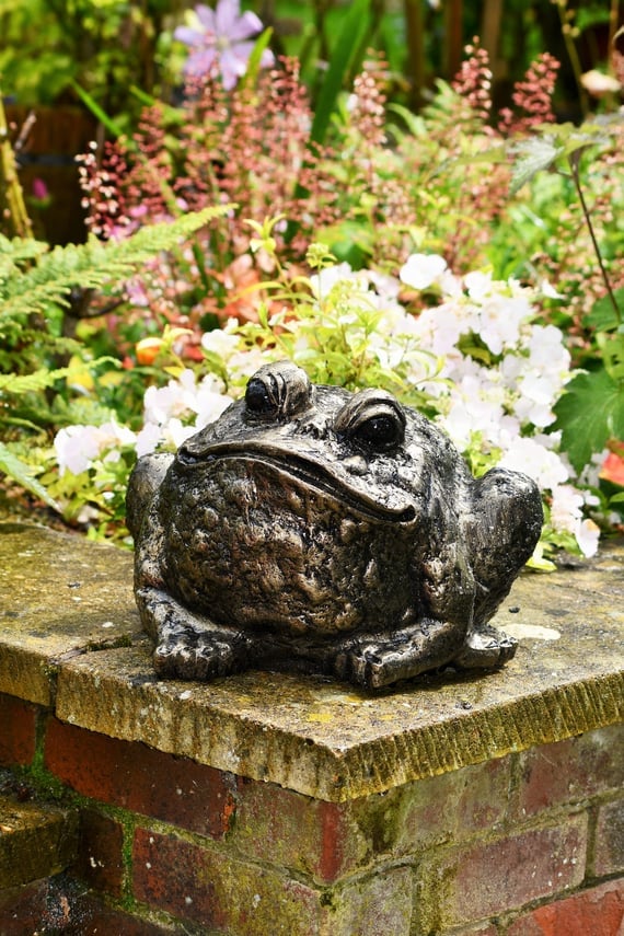 Bull Frog Metal Garden Ornament
