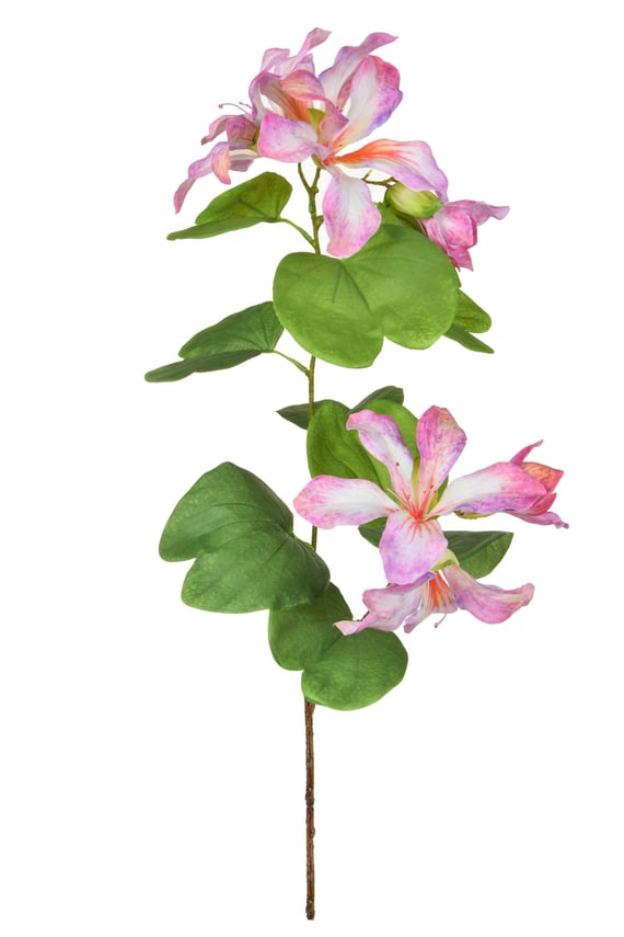 Artificial Bauhinia Purple Cream 85cm