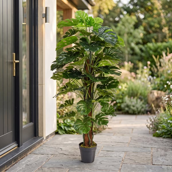 Artificial Monstera 150cm with large split leaves in a plain pot