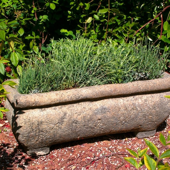 Catalan stone garden trough planted with alpines on a UK patio