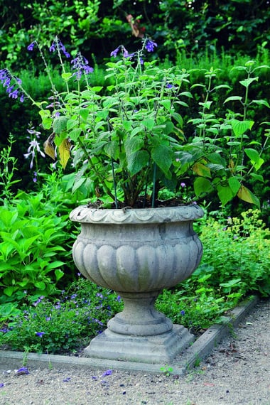 Buckingham stone urn used as a focal point at the corner of a garden zone