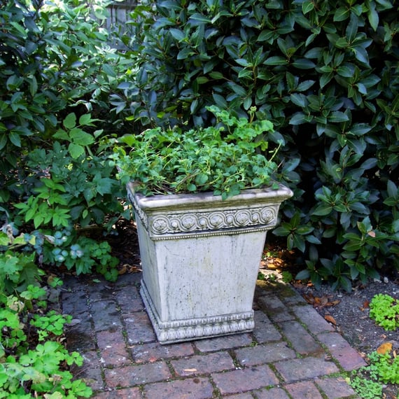 Empire stone garden urn raised on lion claw feet for drainage