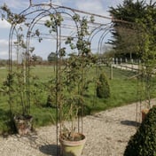 Antiqued Metal Garden Arch Tunnel Cream