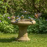 Bird Baths Buying Guide 2025