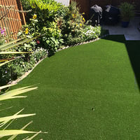 Artificial Lawn