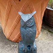 Long Eared Owl Garden Ornament