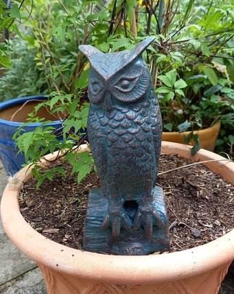 Long Eared Owl Garden Ornament Small