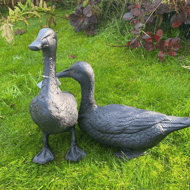 Pair of Ducks Garden Statues